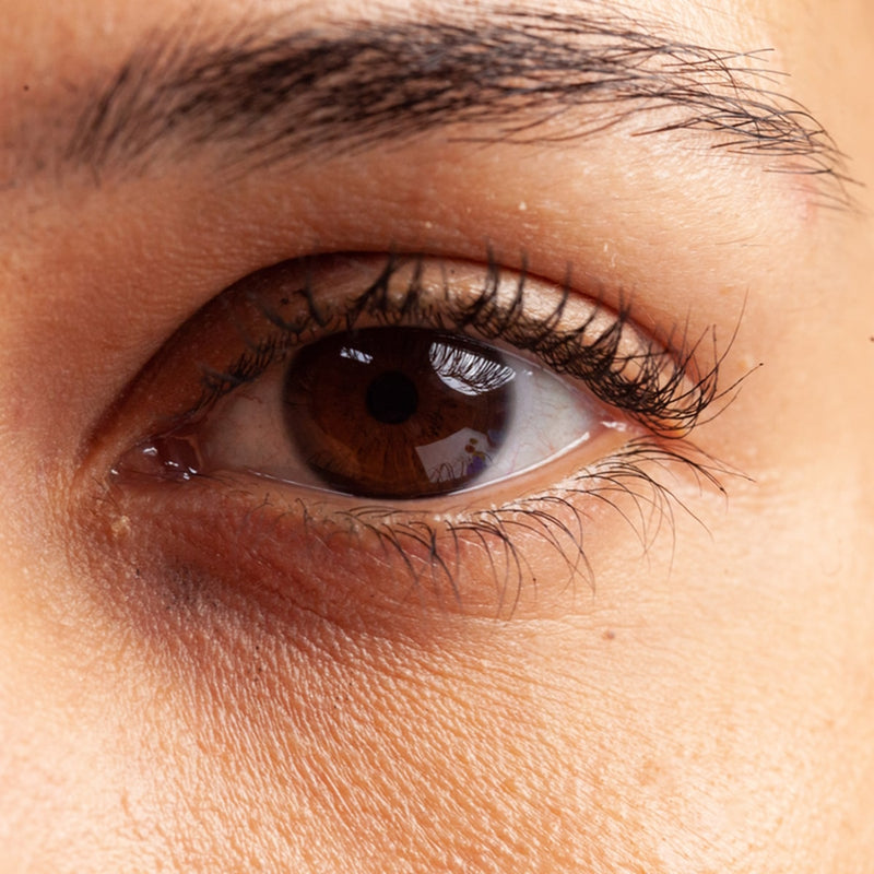 Wimpernverdichtung Bild von einem Auge mit dichten Wimpern
